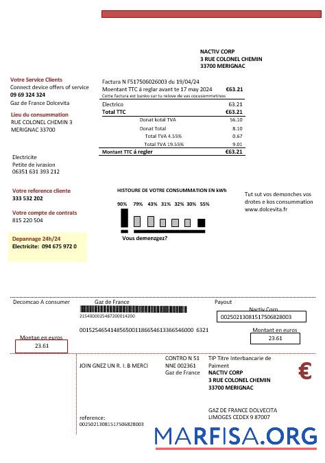 Realistic France Gaz de France Dolcevita business utility bill template in Word and PDF formats1